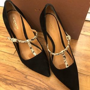 COACH Fulton pumps Size 7.5 Black Suede/Snake
